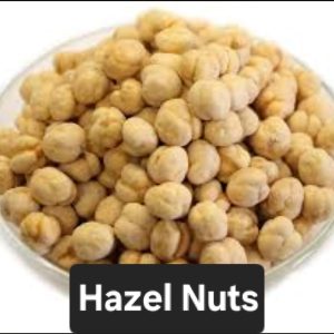 Hazel Nuts